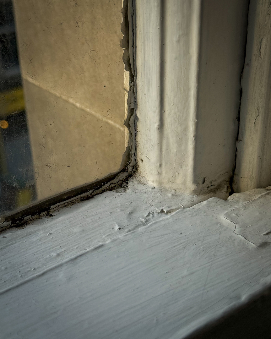 Sash & Case Window Restoration Edinburgh