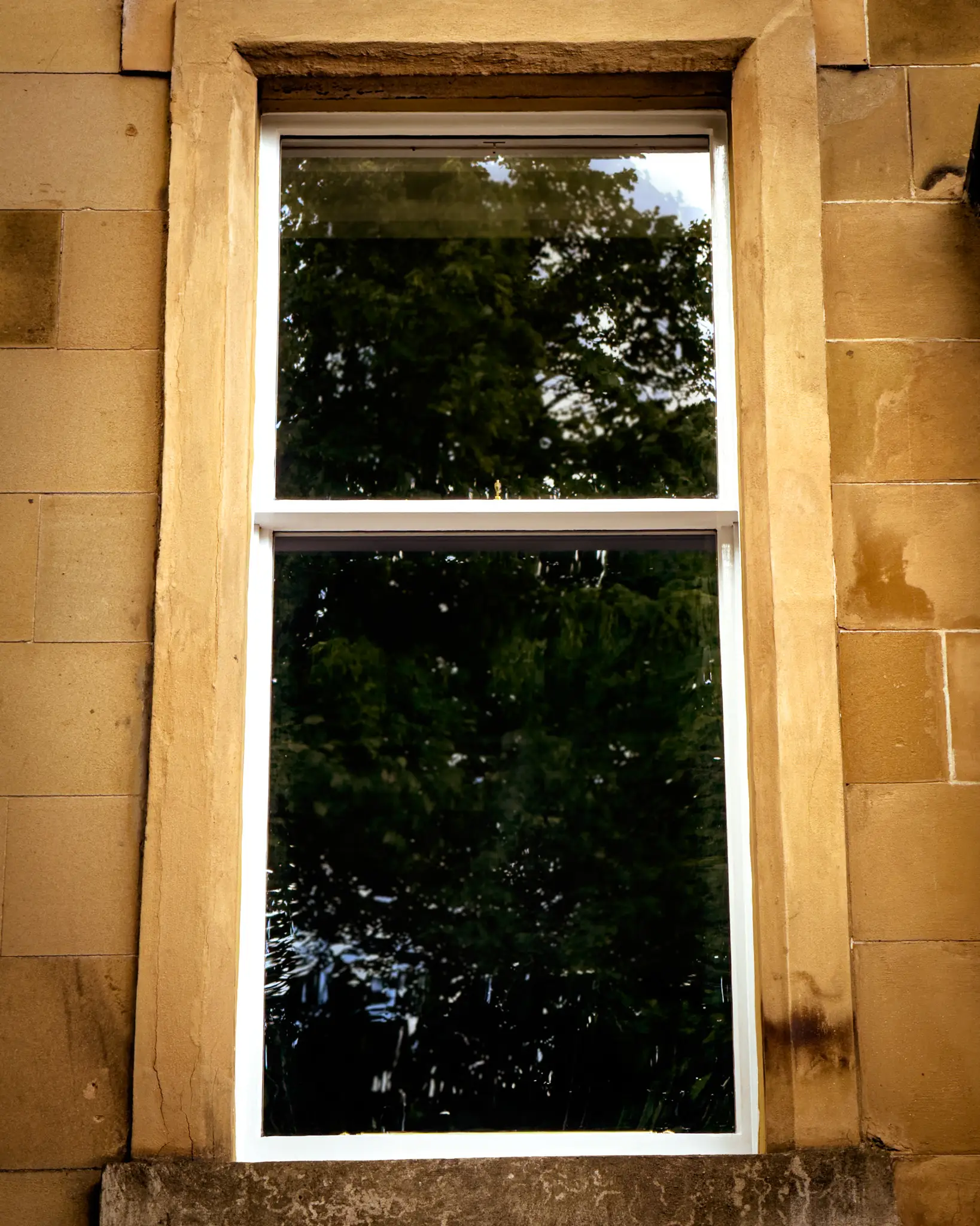 sash-and-case-restoration-co-dean-park-crescent-10