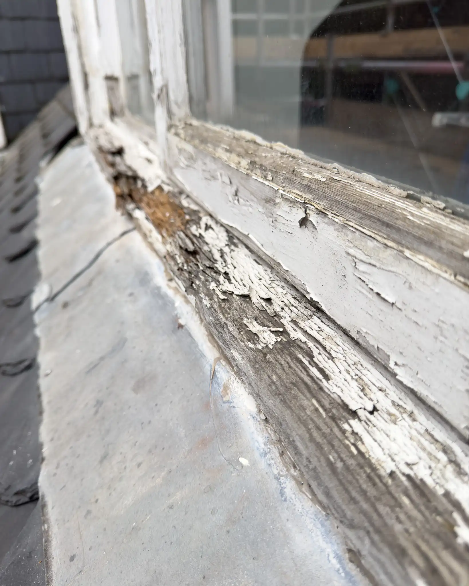 sash-and-case-restoration-co-dean-park-crescent-before-6